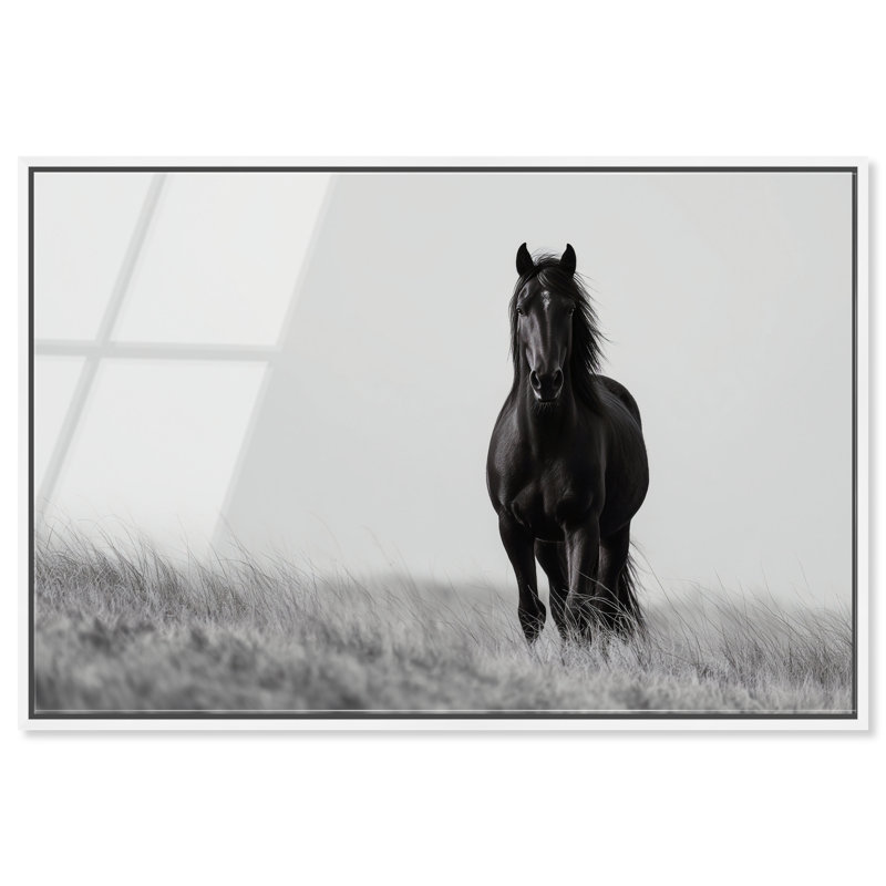 Lone Stallion I Print, 11" H x 16" W, White Floater Frame