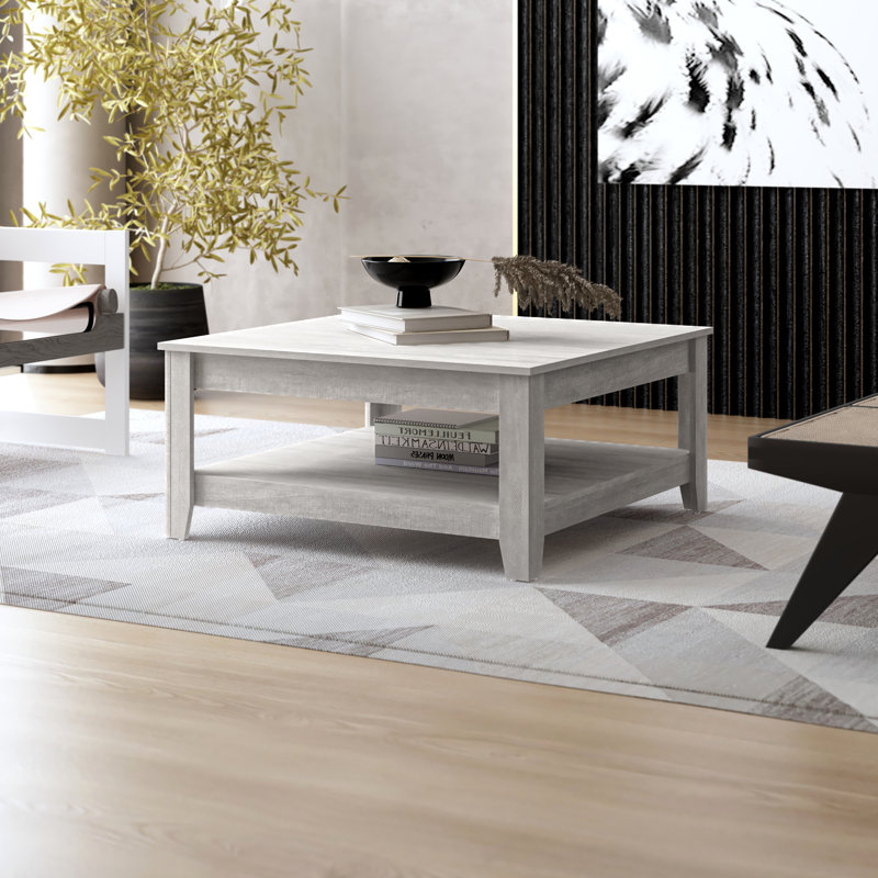 Weddel Basilico Coffee Table with Storage, Chêne gris cendré