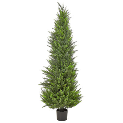 Faux Cedar Tree Plant in Plastic / Acrylic Planter