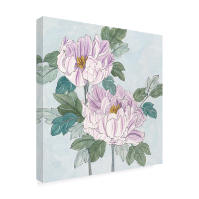 «Striped Peony II» sur