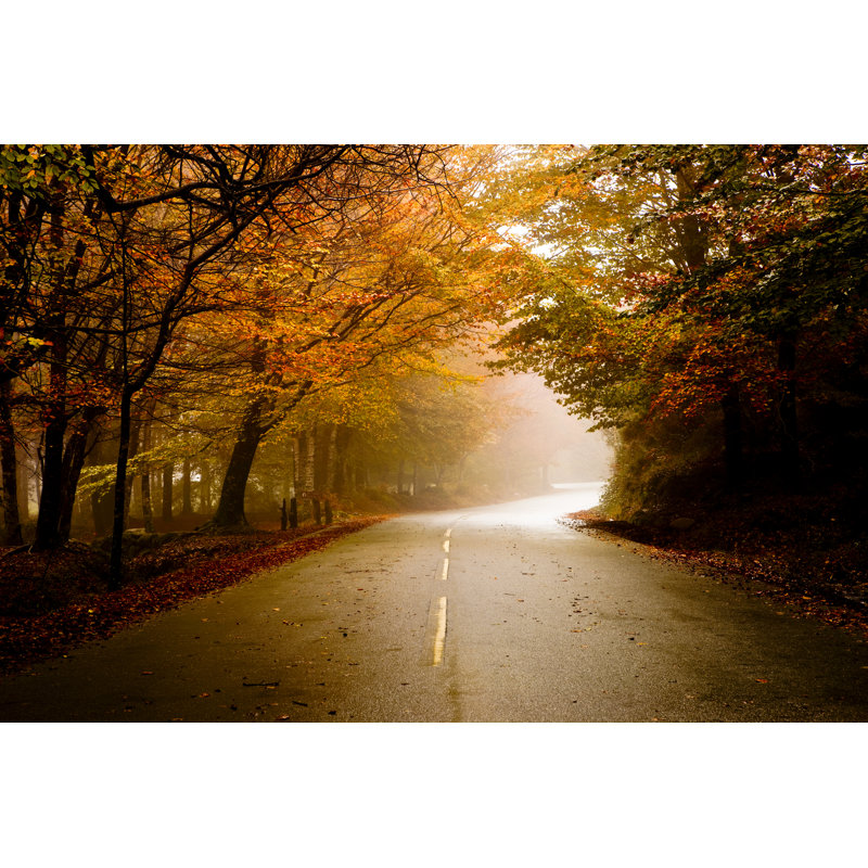 Road Surrounded By Trees 1 Piece Wrapped Canvas Wall Art, 30cm H x 46cm W x 3.8cm D