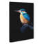 Kingfisher Bird In Abstract - Wrapped Canvas Painting-55363205