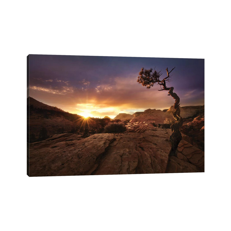 Distorted by Mirko Vecernik - Wrapped Canvas Gallery-Wrapped Canvas Giclée, 20.32 cm H x 30.48 cm W