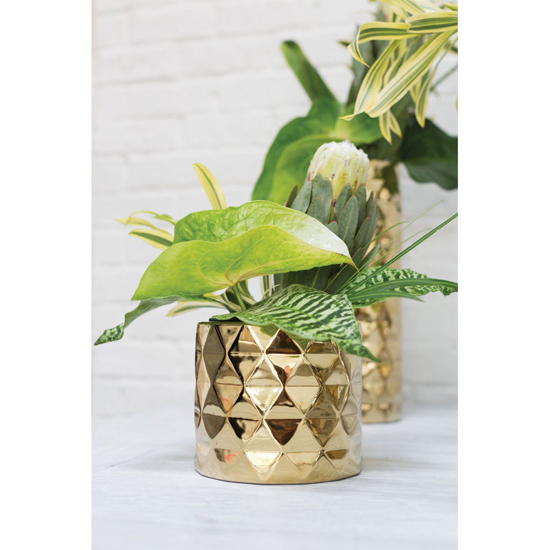 Jardinières en pot, H 6,25 po x l 7 po x P 7 po