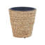 Niwot Plant Pot