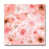 White/Pink