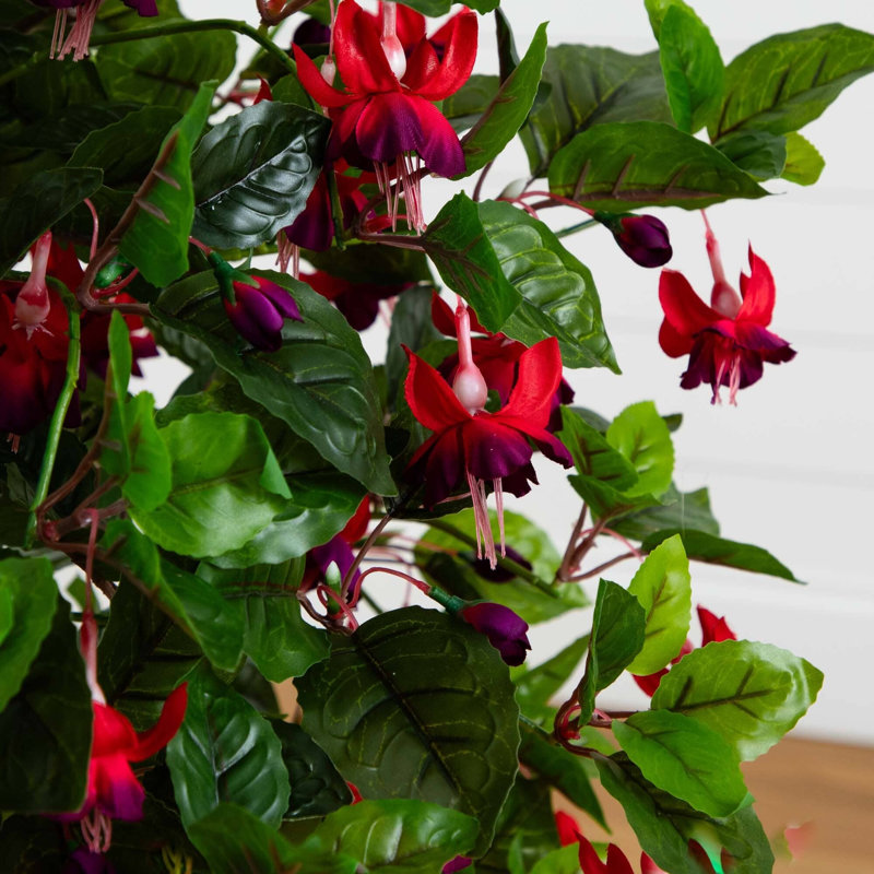 Silk Fuchsia Tree
