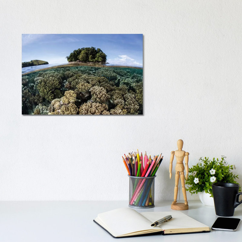 A Healthy Coral Reef Grows In The Solomon Islands III by Ethan Daniels - Wrapped Canvas Print, 20.32 cm H x 30.48 cm W