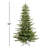 Lighted Christmas Tree-1307521269