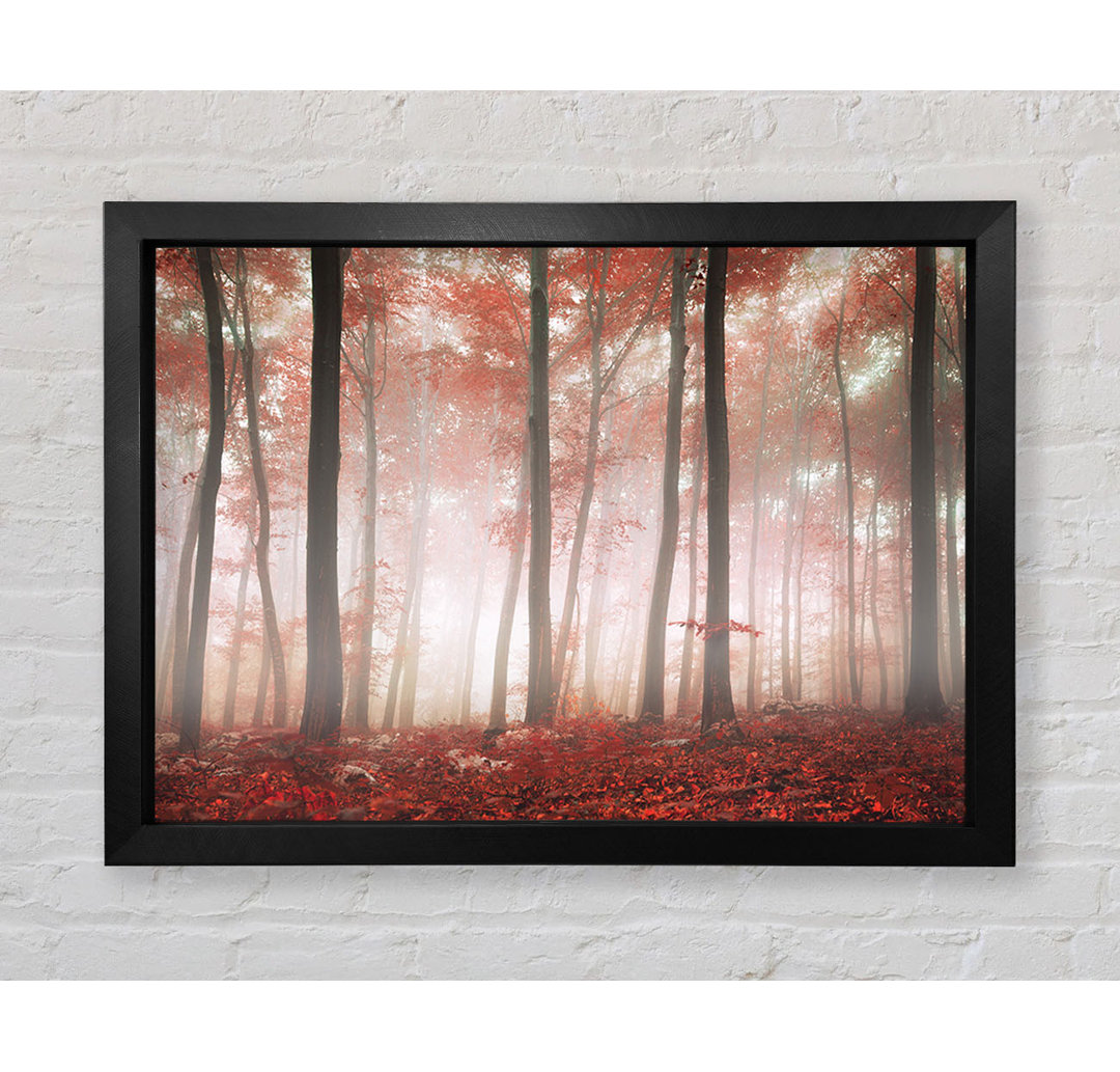 Red Misty Woods - Druck