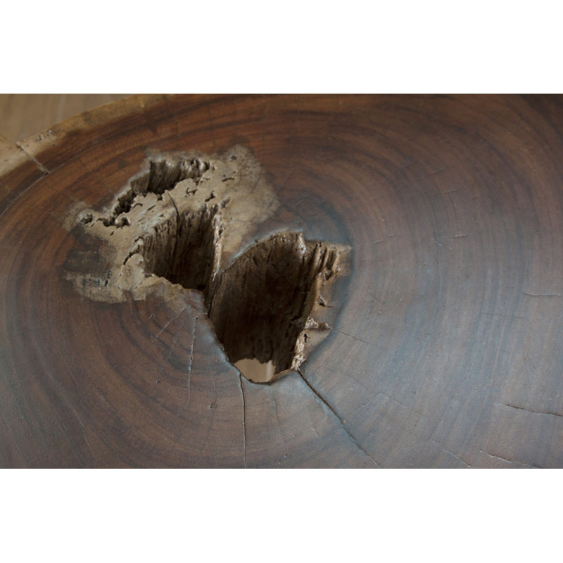 Domen 55'' Solid Wood Top Console Table