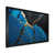 Black Picture Framed