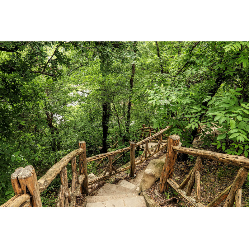 Jacobs Ladder - Photographie sur toile tendue, H 8 po x l 12 po