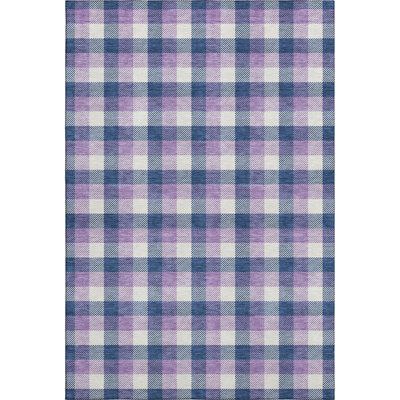 Premium Machine Washable Crumley AMF1053 Plaid Rug