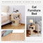 Maison pour chat-1564244697