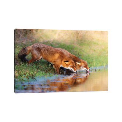 Thirsty 1 Piece Wrapped Canvas Wall Art