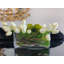 Real Touch White Tulips Wide Square Arrangement
