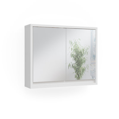 Kalanni 55 mm W 45 mm H Surface Framed Mirrored Bathroom Cabinets 1 Shelves with Mirror