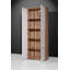 Sector Bookcase