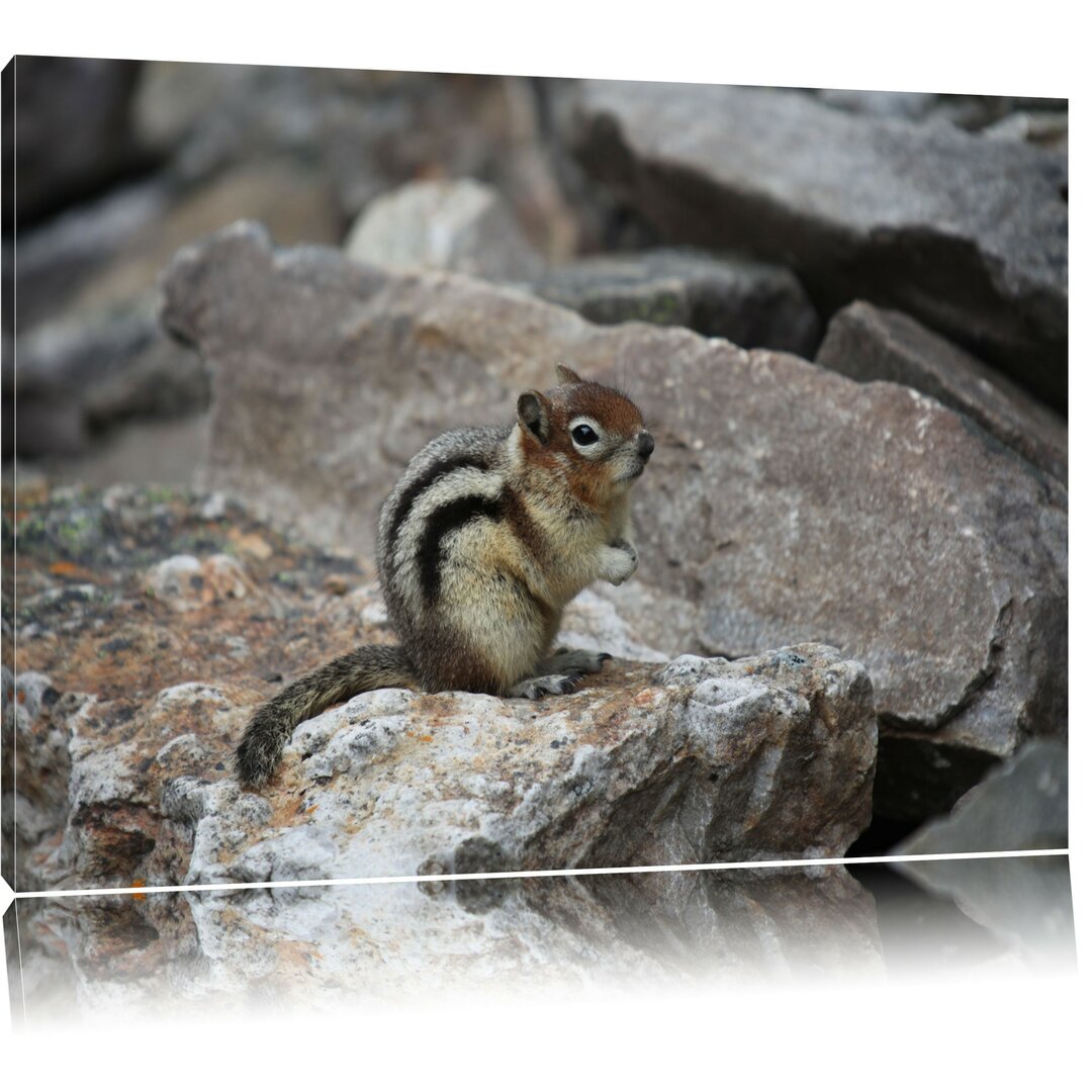 Leinwandbild Schüchternes Streifenhörnchen