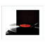Spin by Alicia Abla-247445744-247445759