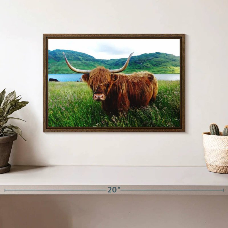 Vache Highland, 13 po x 9 po, Cadre flottant noyer