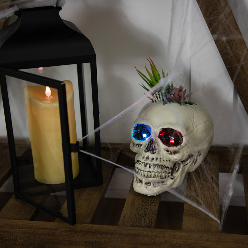 Pot à fleurs 8,75 "à DEL avec crâne d'Halloween