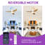 Ventilateur de plafond à profil bas à intensité variable de 40 po avec lumières DEL et télécommande Karlena (ensemble de 2)-116573983-116573980-116573979