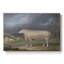 Une toile tendue de la galerie Ewe-James de New Chester-c. début du 19e siècle-837852600
