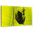 Frog On Leaf-214897965