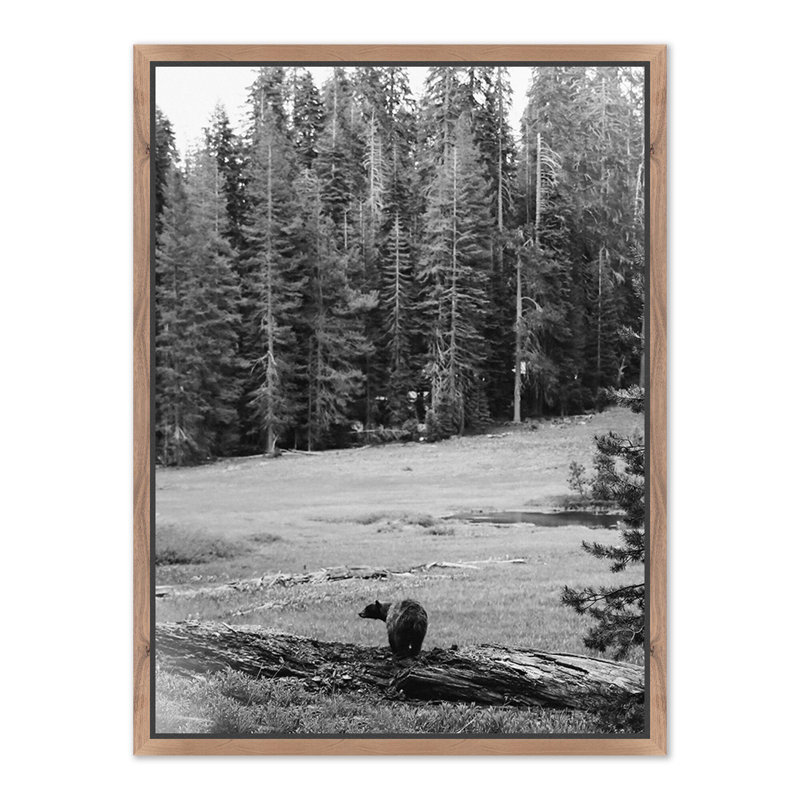 Don't Feed the Bears by Wesley and Emma Teague, 32" H x 24" W x 1.5" D, Brown Metal Floater Framed