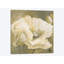 «Poppy in White II», impression sur toile-29090089-72809492-72809493