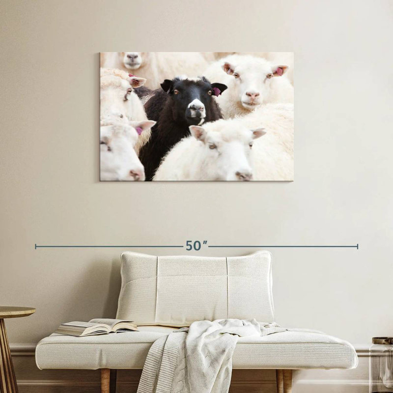 Brampt Standout Black Sheep, 24" H x 36" W