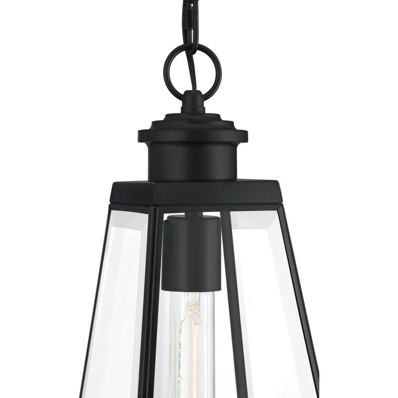 Lanterne suspendue d’extérieur 1 lampe noir mat Bednar
