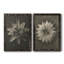 Toile encadrée Blossfeldt-2052834714-2052834717