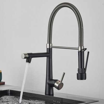 Belfry Kitchen Keneisha Pull Down Kitchen Faucet