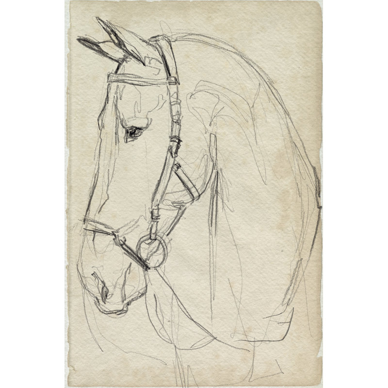 Horse In Bridle Sketch II by Jennifer Paxton Parker - Print on Canvas, 46 cm H x 30 cm W, Wrapped Canvas