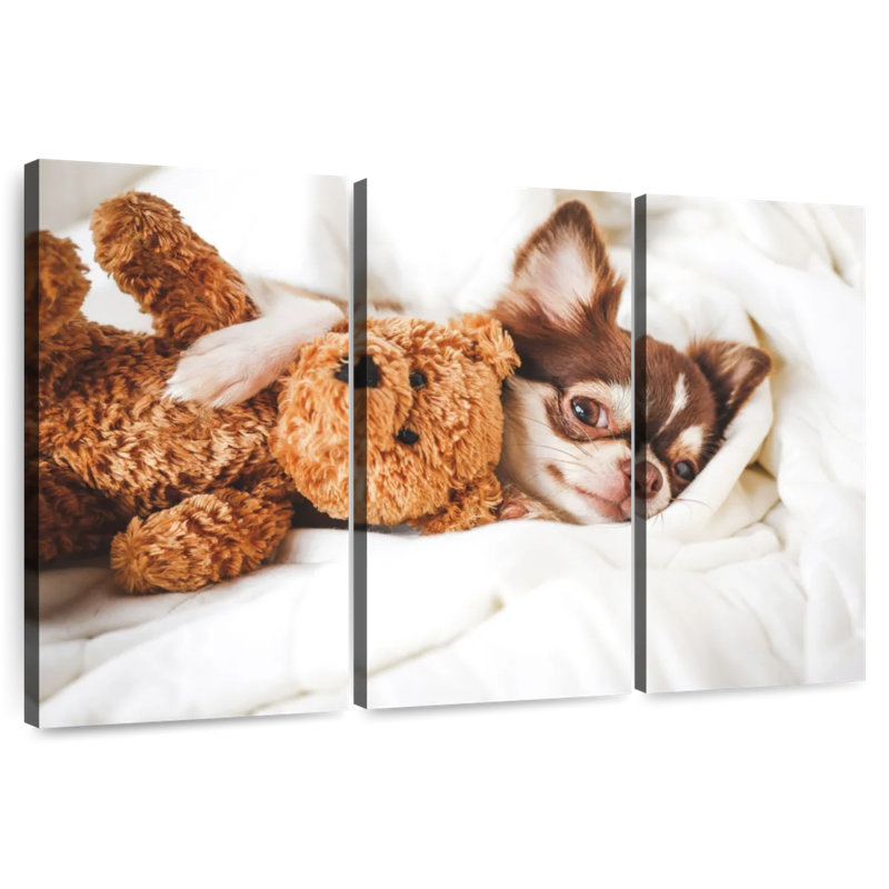 Chihuahua Brampt avec ours en peluche, H 14 po x l 23 po