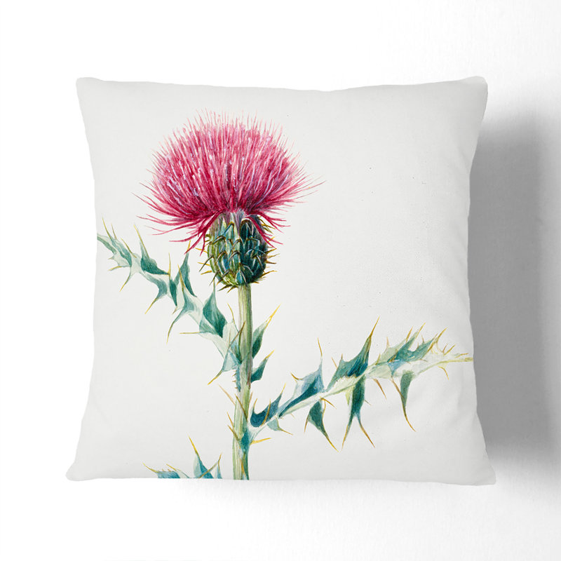 Thistle Scatter Cushion with Filling, 40cm H x 40cm W x 15cm D, Stone
