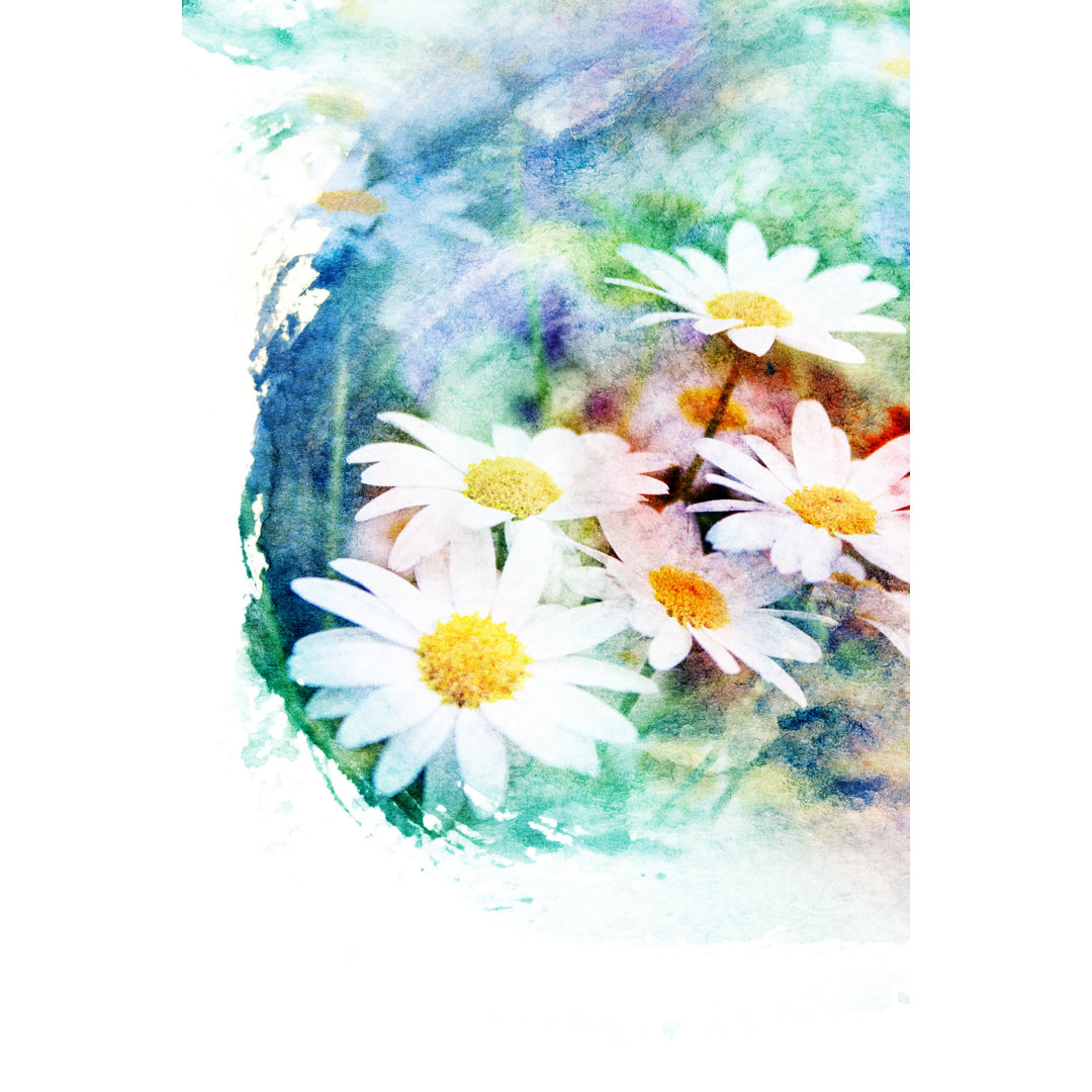 Blumen-Aquarell-Illustration. - Druck