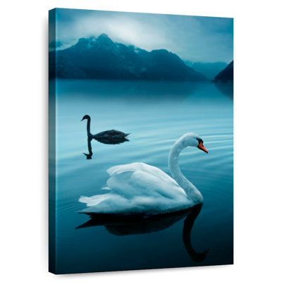 Brampt Swans In Dark Lake