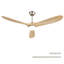 Ventilateur de plafond intelligent avec lumière DEL à intensité variable avec mémoire, moteur CC réversible silencieux, minuterie (1H / 4H / 8H)-1304490249-1304490255