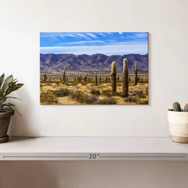 Harnek Los Cardones Cactus, H 8 po x l 12 po