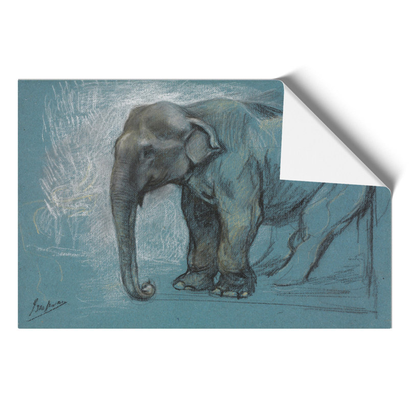 Study of an Elephant by John Macallan Swan - Frameless Print, 21cm H x 30cm W x 0.1cm D