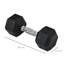 Rubber Dumbbell