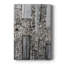 Argent colis II - galerie Cavas-516560233