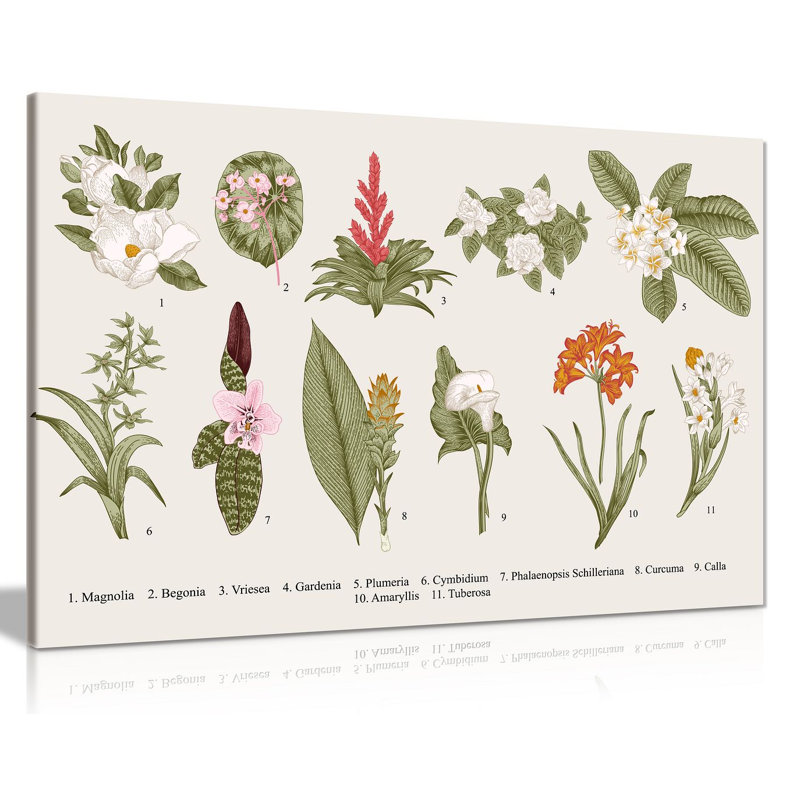 Exotic Flowers - Wrapped Canvas Print, 20cm H x 31cm W