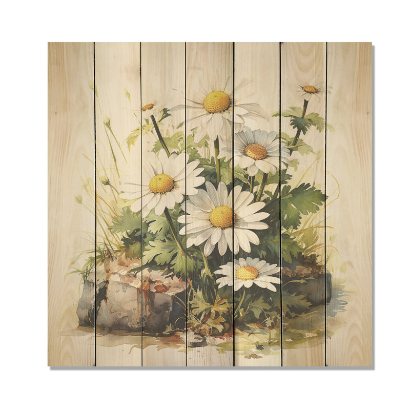 Daisy Flower On Calm Stone III - Daisy On Wood Print, 30" H x 30" W