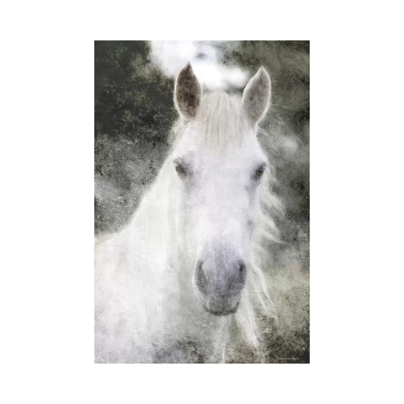 White Horse Mystique by Bluebird Barn - Wrapped Canvas Print, 20.32 cm H x 30.48 cm W