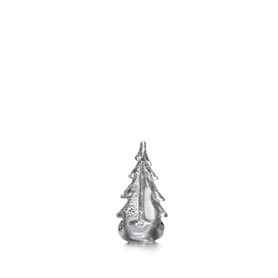 Silver Leaf Evergreen